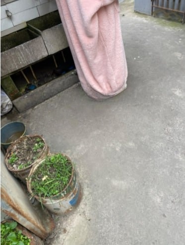 甪直 快餐230 厕所后面，玄